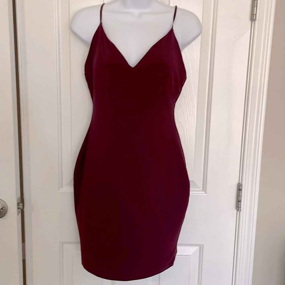 Windsor Store Maroon Stretch Dress